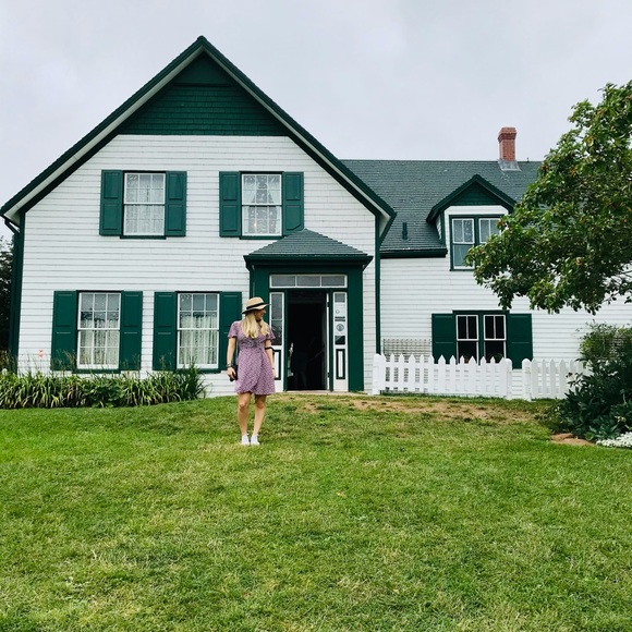 Meet your Posher, Lil' Bee! - Picture 9 of 16